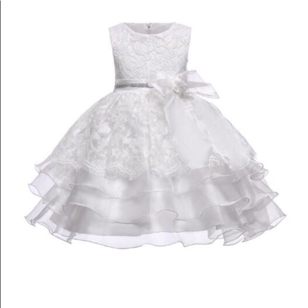 Size 4 dressy Weaver Girls Chasing Fireflies All Over Lace Dress Easter - Picture 4 of 6